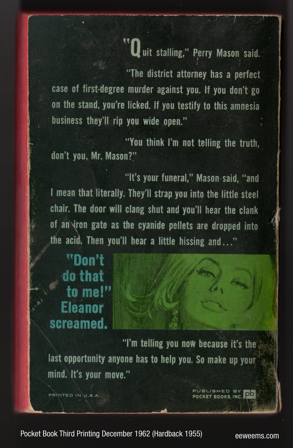 Back Cover Case of the Glamorous Ghost