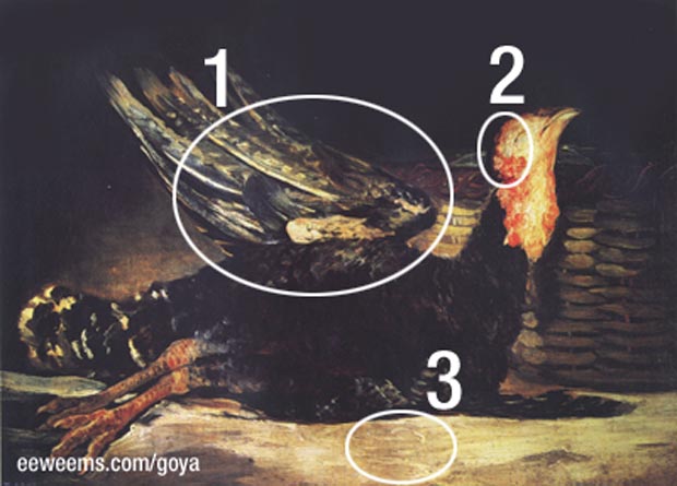 Graphisms and hidden signatures of Goya - Dead Turkey
