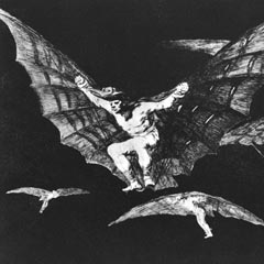 Plate 13 etching - one way to fly by Goya