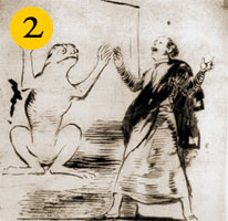 Goya Drawing - Frog in mirror