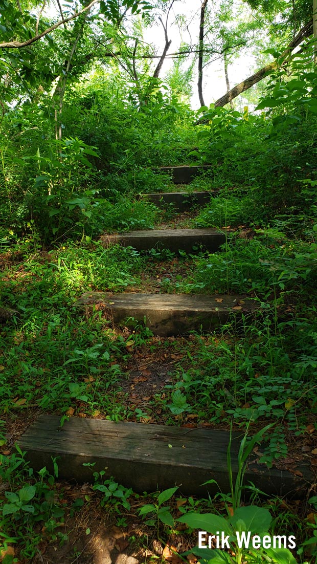 Lagoon area, Henricus, Forest Steps