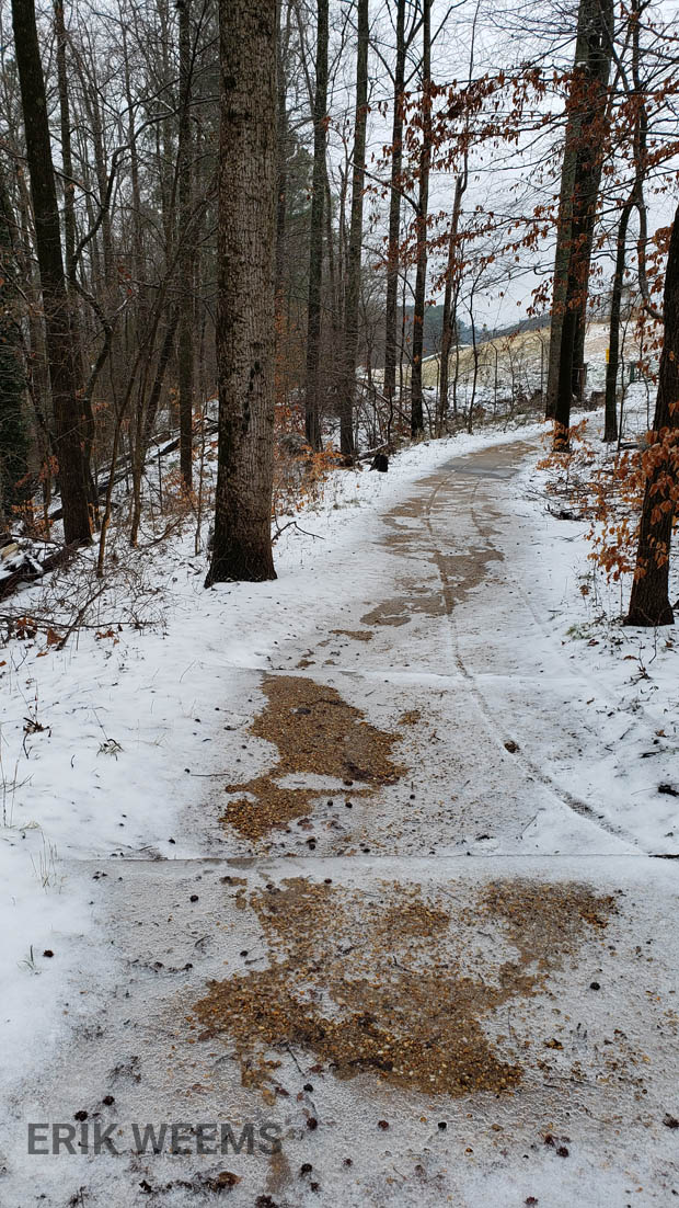 Ice and Snow on Trail in wood in Chesterfield