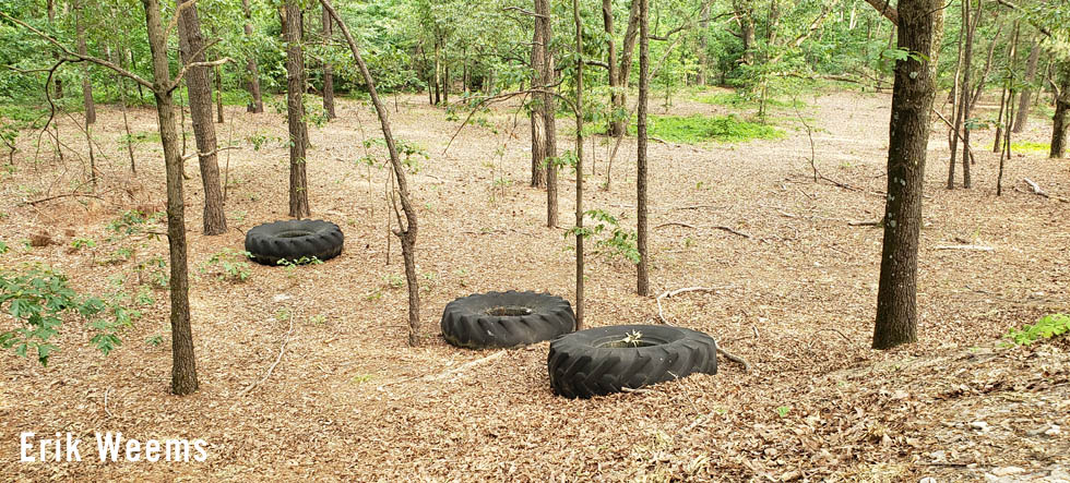 Tires out in the woods