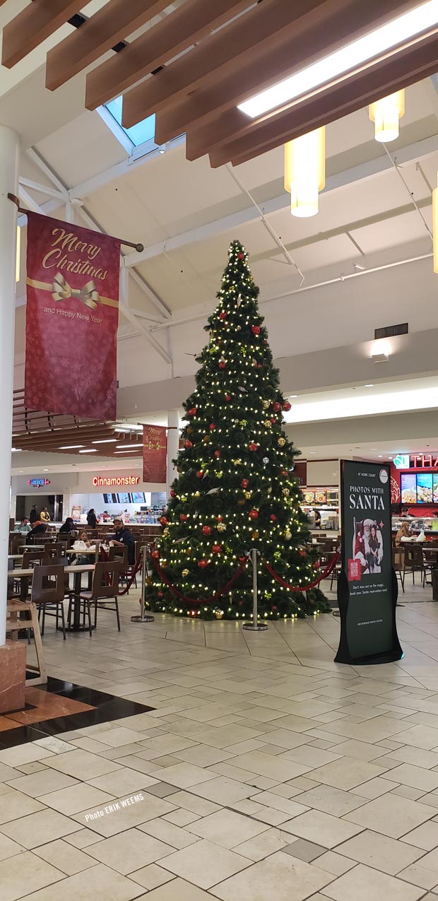 The Christmas tree at the Chesterfield Mall November 2024