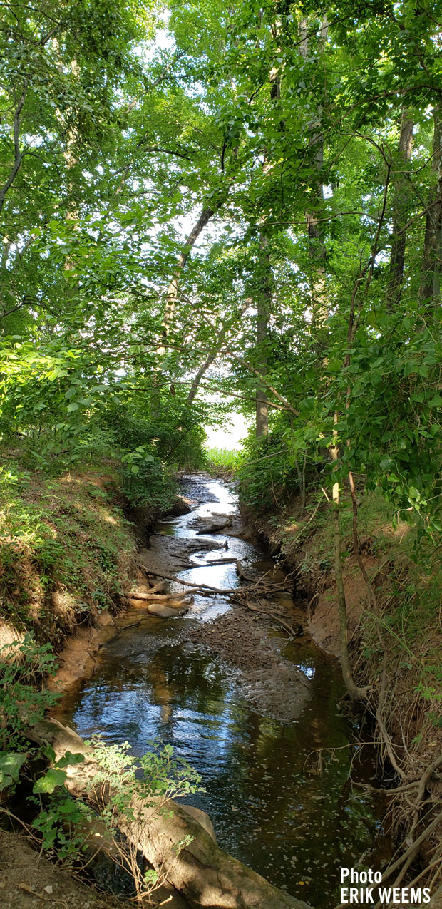 Stream flowing with water in Chesterfield