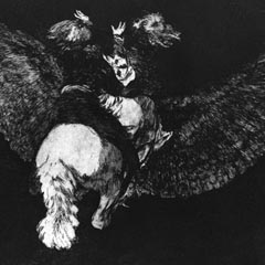 Winged Folly Goya