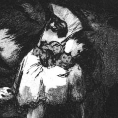 Plate 9 - Universal folly by Goya